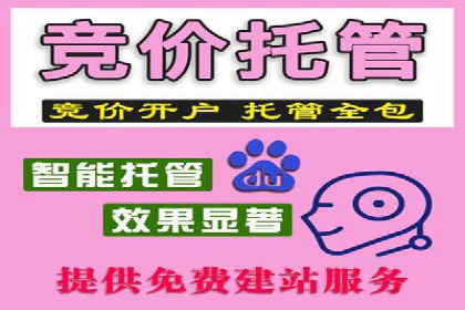 成功案例揭秘：百度包年竞价如何助力企业增长